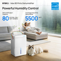 KNKA RainbowSense Series PD30MA-20 Dehumidifier （ENERGY STAR Certified）