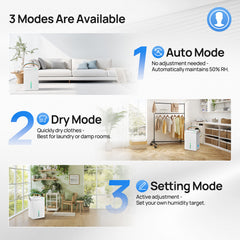 KNKA Energy Star 5000 Sq.Ft Dehumidifier for Basement, Max 74 Pint/Day
